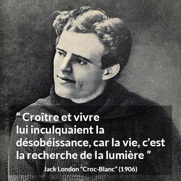 Citation de Jack London sur la vie tirée de Croc-Blanc - Croître et vivre lui inculquaient la désobéissance, car la vie, c'est la recherche de la lumière