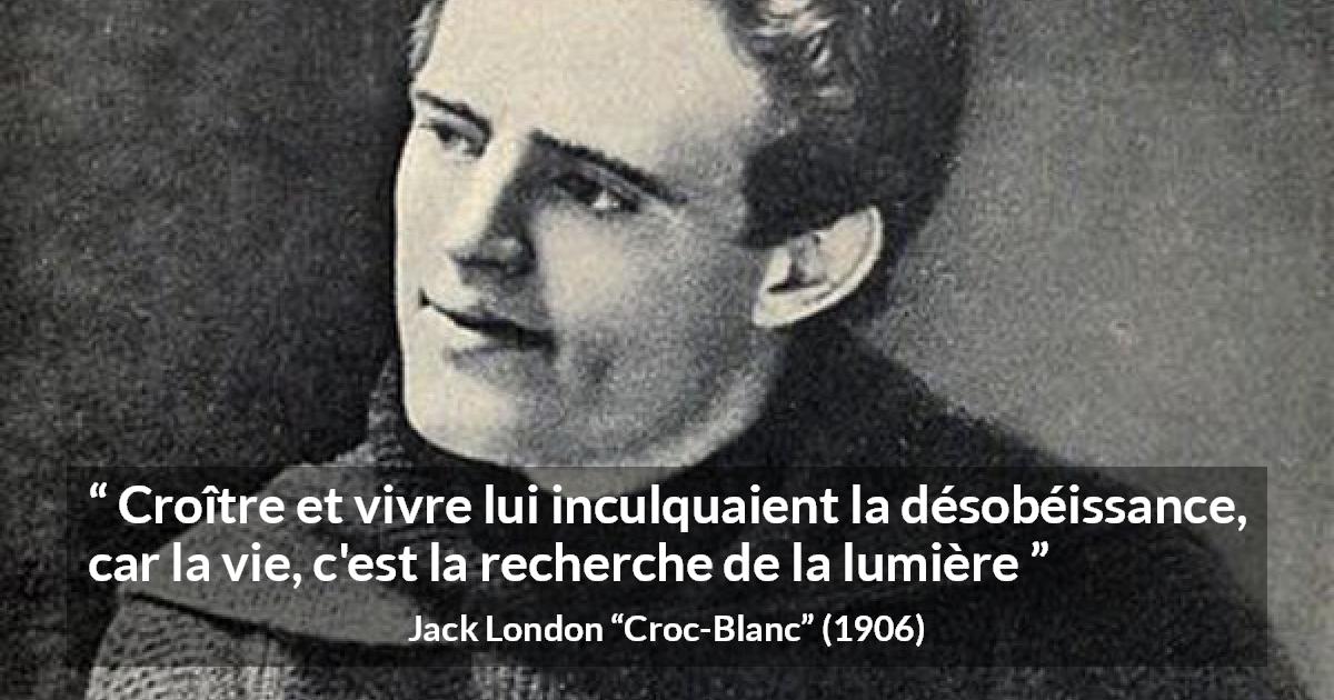 Citation de Jack London sur la vie tirée de Croc-Blanc - Croître et vivre lui inculquaient la désobéissance, car la vie, c'est la recherche de la lumière