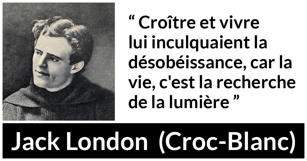 Citation de Jack London sur la vie tirée de Croc-Blanc - Croître et vivre lui inculquaient la désobéissance, car la vie, c'est la recherche de la lumière