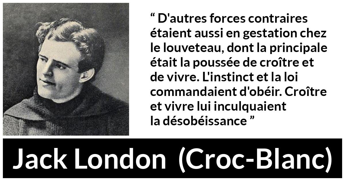 Citation de Jack London sur la vie tirée de Croc-Blanc - D'autres forces contraires étaient aussi en gestation chez le louveteau, dont la principale était la poussée de croître et de vivre. L'instinct et la loi commandaient d'obéir. Croître et vivre lui inculquaient la désobéissance