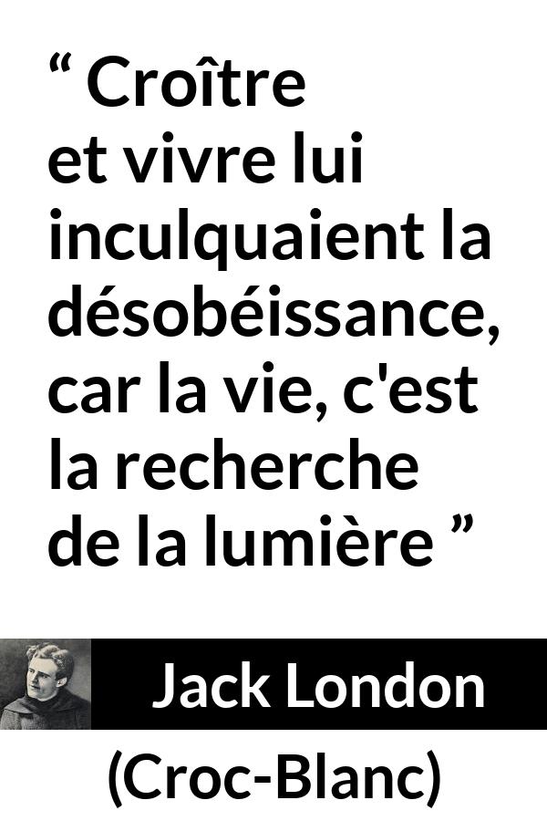 Citation de Jack London sur la vie tirée de Croc-Blanc - Croître et vivre lui inculquaient la désobéissance, car la vie, c'est la recherche de la lumière