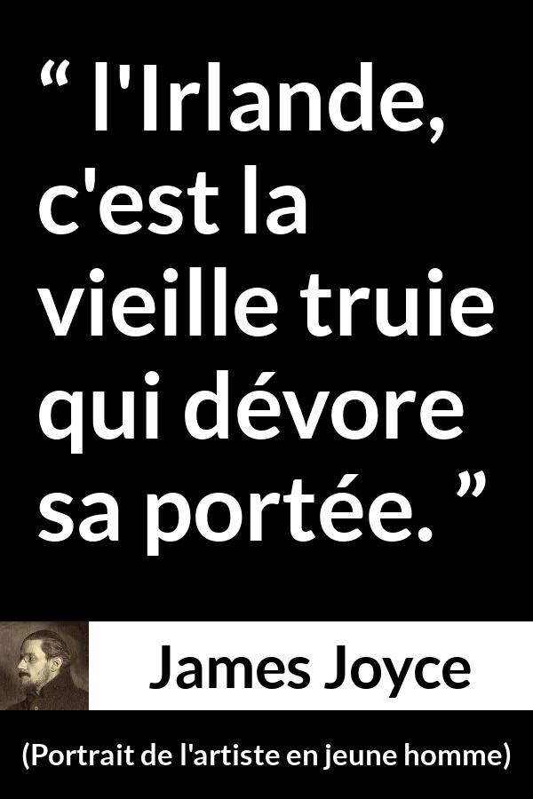 Citation de James Joyce sur l'Irlande tirée de Portrait de l'artiste en jeune homme - l'Irlande, c'est la vieille truie qui dévore sa portée.
