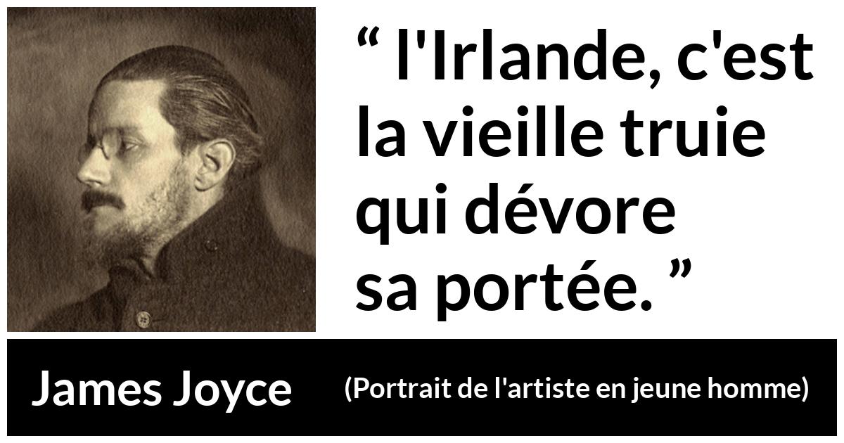 Citation de James Joyce sur l'Irlande tirée de Portrait de l'artiste en jeune homme - l'Irlande, c'est la vieille truie qui dévore sa portée.