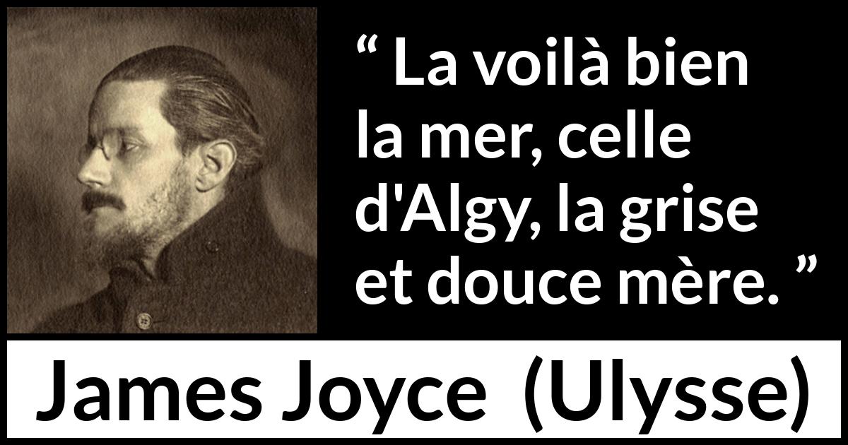 Citation de James Joyce sur la mer tirée d'Ulysse - La voilà bien la mer, celle d'Algy, la grise et douce mère.