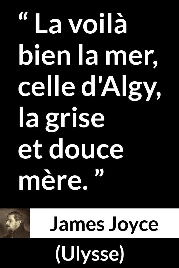 Citation de James Joyce sur la mer tirée d'Ulysse - La voilà bien la mer, celle d'Algy, la grise et douce mère.
