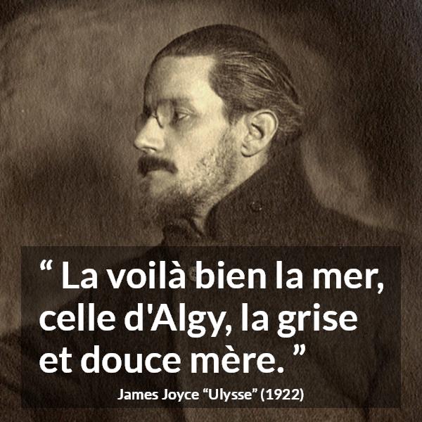 Citation de James Joyce sur la mer tirée d'Ulysse - La voilà bien la mer, celle d'Algy, la grise et douce mère.
