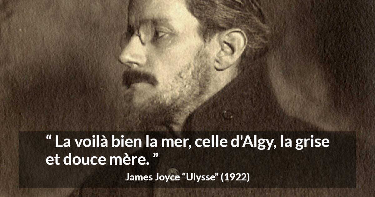 Citation de James Joyce sur la mer tirée d'Ulysse - La voilà bien la mer, celle d'Algy, la grise et douce mère.