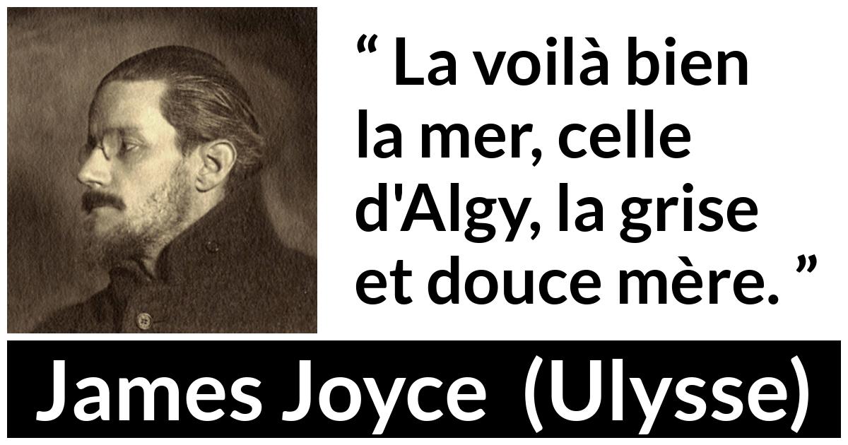 Citation de James Joyce sur la mer tirée d'Ulysse - La voilà bien la mer, celle d'Algy, la grise et douce mère.
