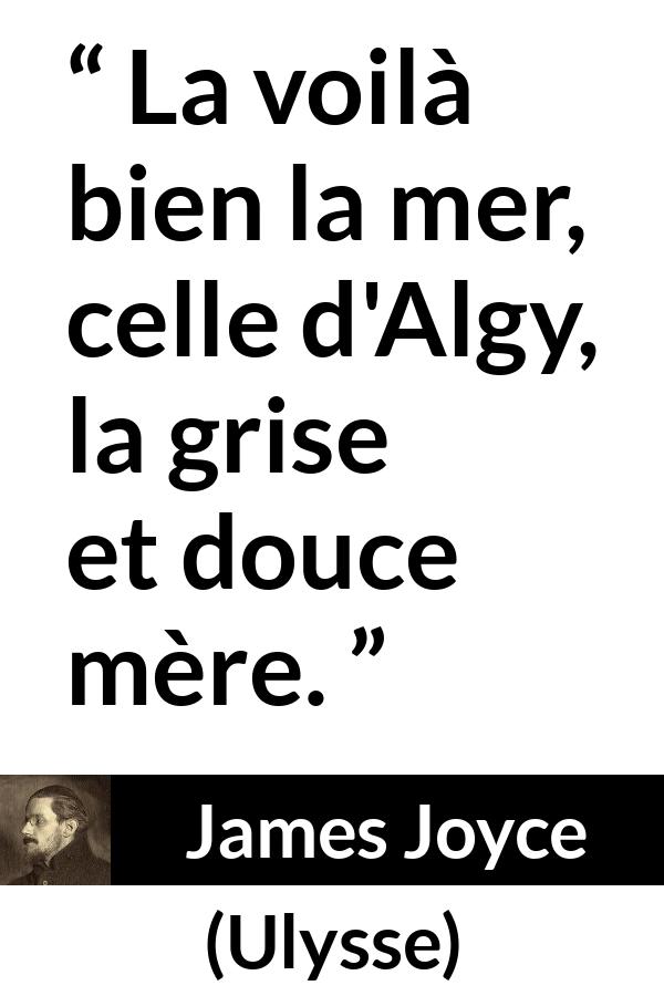 Citation de James Joyce sur la mer tirée d'Ulysse - La voilà bien la mer, celle d'Algy, la grise et douce mère.