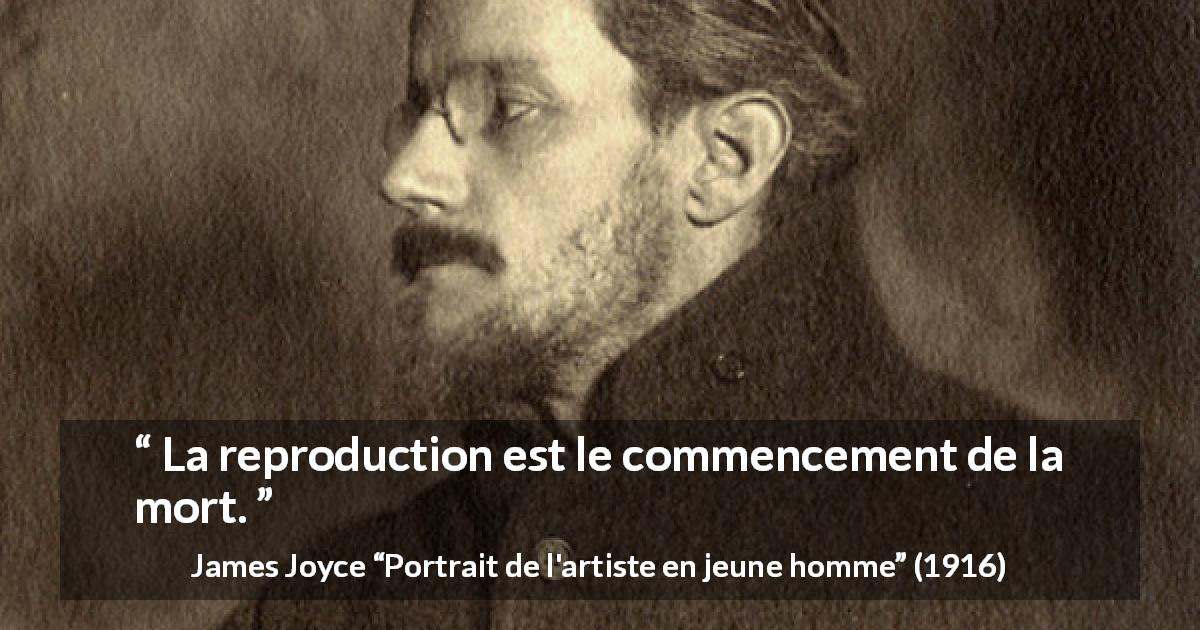 Citation de James Joyce sur la reproduction tirée de Portrait de l'artiste en jeune homme - La reproduction est le commencement de la mort.
