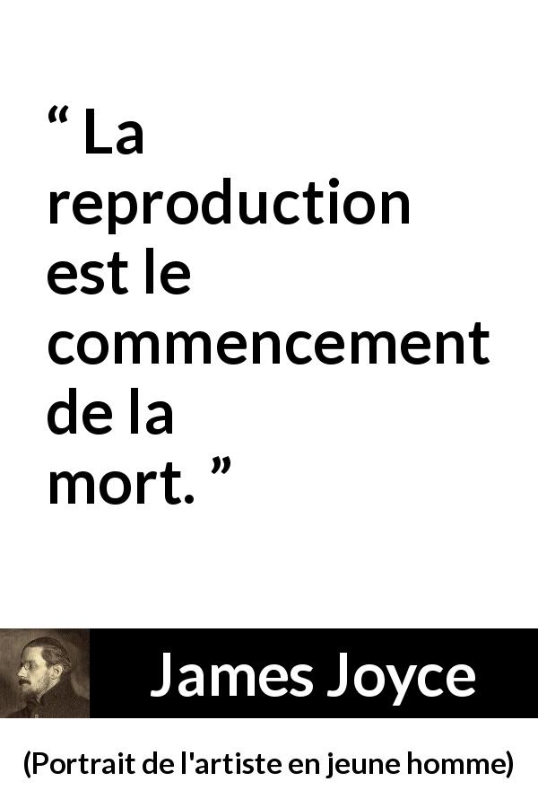 Citation de James Joyce sur la reproduction tirée de Portrait de l'artiste en jeune homme - La reproduction est le commencement de la mort.
