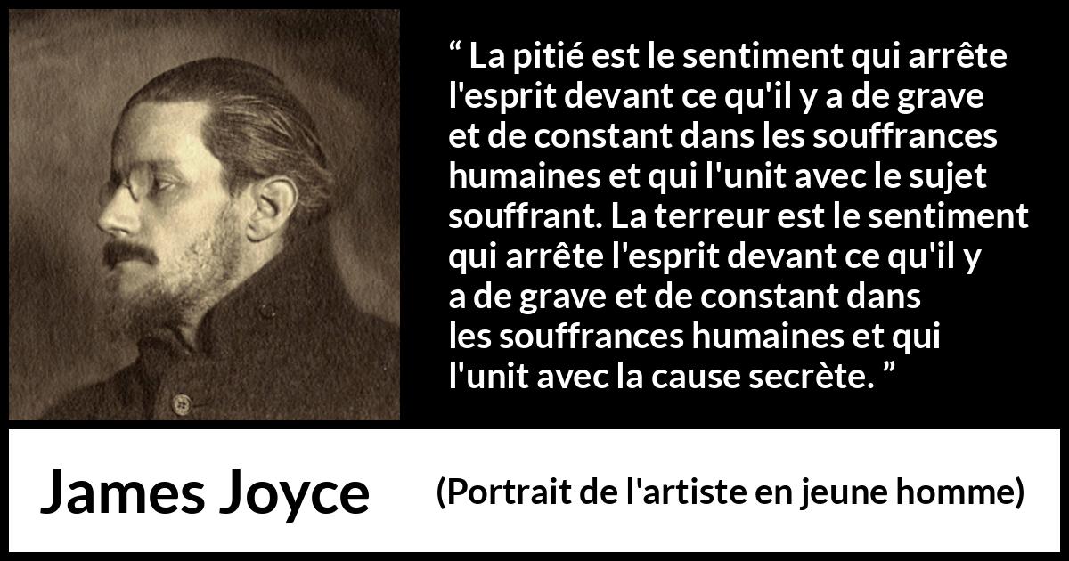 Citation de James Joyce sur la souffrance tirée de Portrait de l'artiste en jeune homme - La pitié est le sentiment qui arrête l'esprit devant ce qu'il y a de grave et de constant dans les souffrances humaines et qui l'unit avec le sujet souffrant. La terreur est le sentiment qui arrête l'esprit devant ce qu'il y a de grave et de constant dans les souffrances humaines et qui l'unit avec la cause secrète.