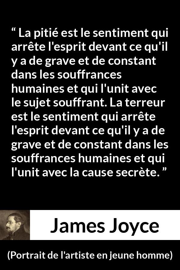 Citation de James Joyce sur la souffrance tirée de Portrait de l'artiste en jeune homme - La pitié est le sentiment qui arrête l'esprit devant ce qu'il y a de grave et de constant dans les souffrances humaines et qui l'unit avec le sujet souffrant. La terreur est le sentiment qui arrête l'esprit devant ce qu'il y a de grave et de constant dans les souffrances humaines et qui l'unit avec la cause secrète.