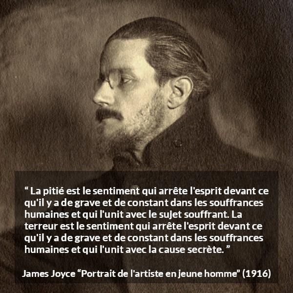 Citation de James Joyce sur la souffrance tirée de Portrait de l'artiste en jeune homme - La pitié est le sentiment qui arrête l'esprit devant ce qu'il y a de grave et de constant dans les souffrances humaines et qui l'unit avec le sujet souffrant. La terreur est le sentiment qui arrête l'esprit devant ce qu'il y a de grave et de constant dans les souffrances humaines et qui l'unit avec la cause secrète.