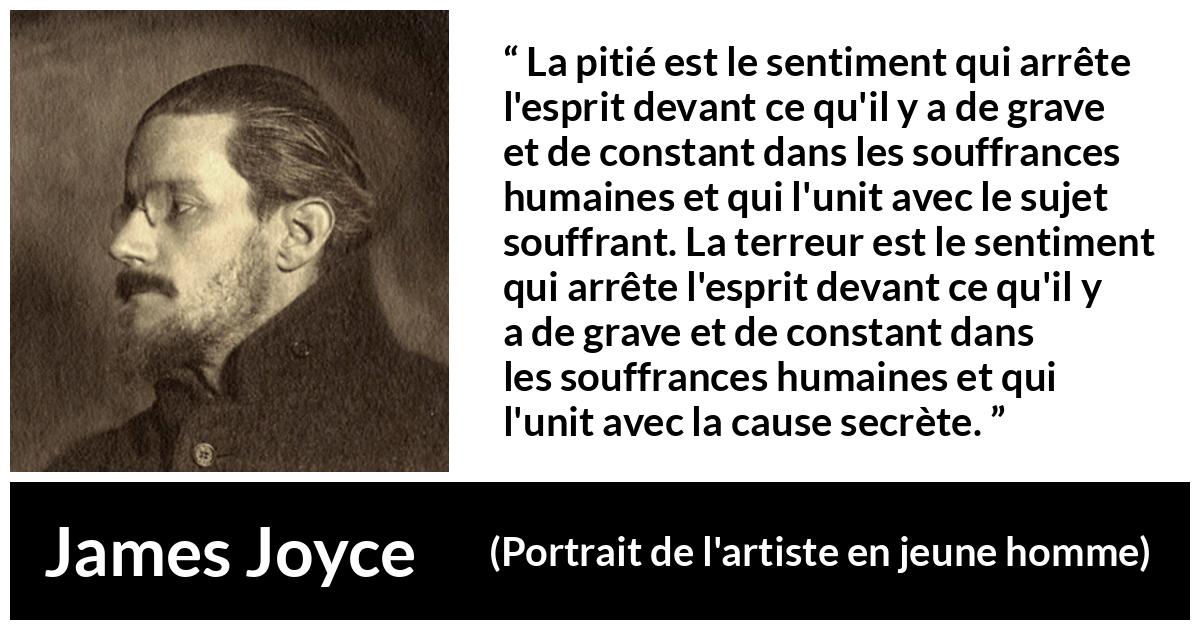 Citation de James Joyce sur la souffrance tirée de Portrait de l'artiste en jeune homme - La pitié est le sentiment qui arrête l'esprit devant ce qu'il y a de grave et de constant dans les souffrances humaines et qui l'unit avec le sujet souffrant. La terreur est le sentiment qui arrête l'esprit devant ce qu'il y a de grave et de constant dans les souffrances humaines et qui l'unit avec la cause secrète.
