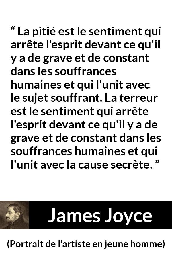 Citation de James Joyce sur la souffrance tirée de Portrait de l'artiste en jeune homme - La pitié est le sentiment qui arrête l'esprit devant ce qu'il y a de grave et de constant dans les souffrances humaines et qui l'unit avec le sujet souffrant. La terreur est le sentiment qui arrête l'esprit devant ce qu'il y a de grave et de constant dans les souffrances humaines et qui l'unit avec la cause secrète.