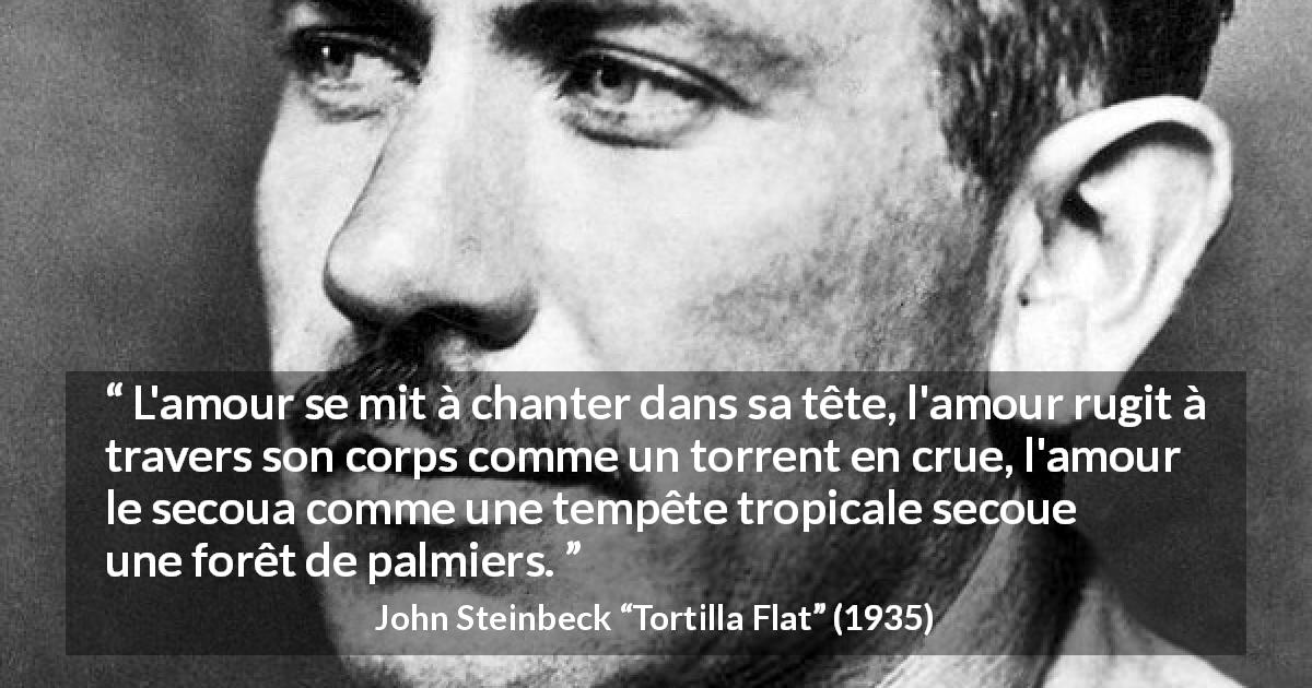 Citation de John Steinbeck sur l'amour tirée de Tortilla Flat - L'amour se mit à chanter dans sa tête, l'amour rugit à travers son corps comme un torrent en crue, l'amour le secoua comme une tempête tropicale secoue une forêt de palmiers.
