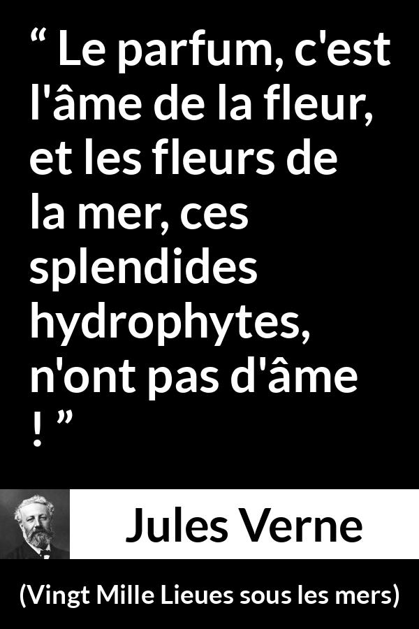 Citation de Jules Verne sur l'âme tirée de Vingt Mille Lieues sous les mers - Le parfum, c'est l'âme de la fleur, et les fleurs de la mer, ces splendides hydrophytes, n'ont pas d'âme !