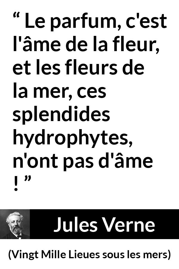 Citation de Jules Verne sur l'âme tirée de Vingt Mille Lieues sous les mers - Le parfum, c'est l'âme de la fleur, et les fleurs de la mer, ces splendides hydrophytes, n'ont pas d'âme !
