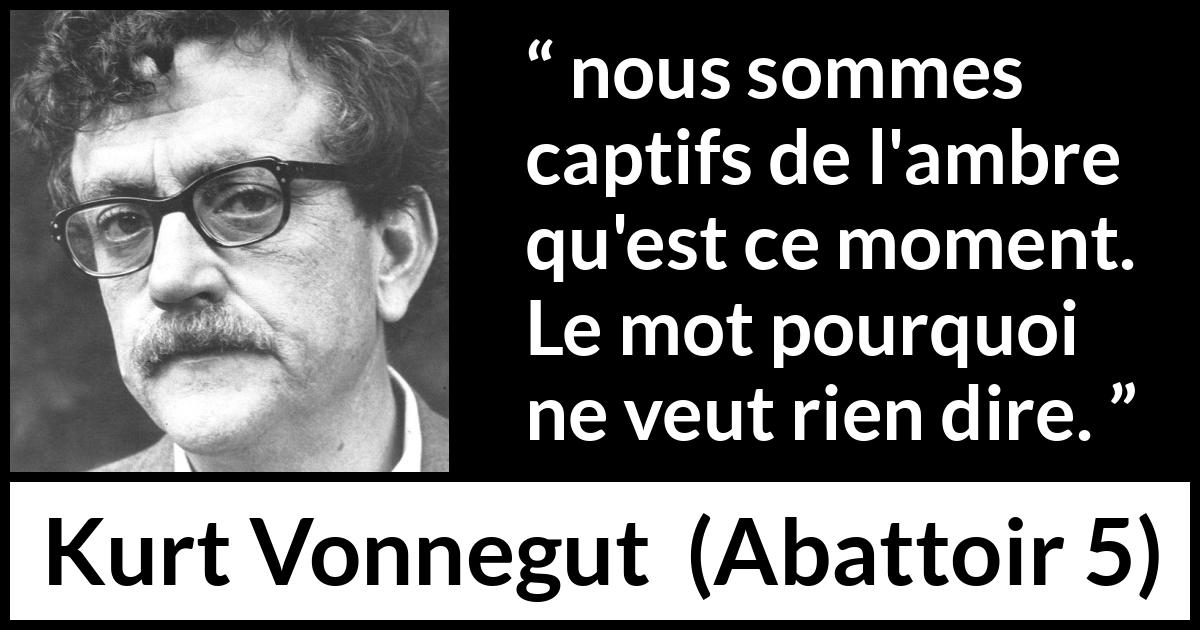 Citation de Kurt Vonnegut sur la compréhension tirée d'Abattoir 5 - nous sommes captifs de l'ambre qu'est ce moment. Le mot pourquoi ne veut rien dire.