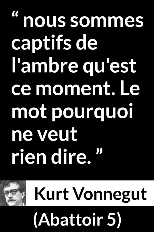 Citation de Kurt Vonnegut sur la compréhension tirée d'Abattoir 5 - nous sommes captifs de l'ambre qu'est ce moment. Le mot pourquoi ne veut rien dire.