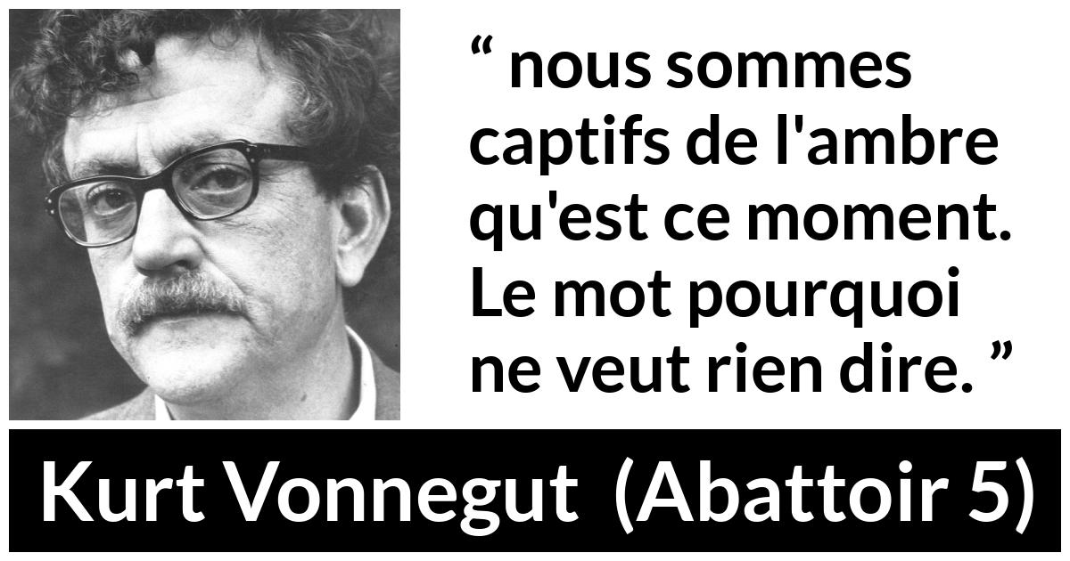 Citation de Kurt Vonnegut sur la compréhension tirée d'Abattoir 5 - nous sommes captifs de l'ambre qu'est ce moment. Le mot pourquoi ne veut rien dire.