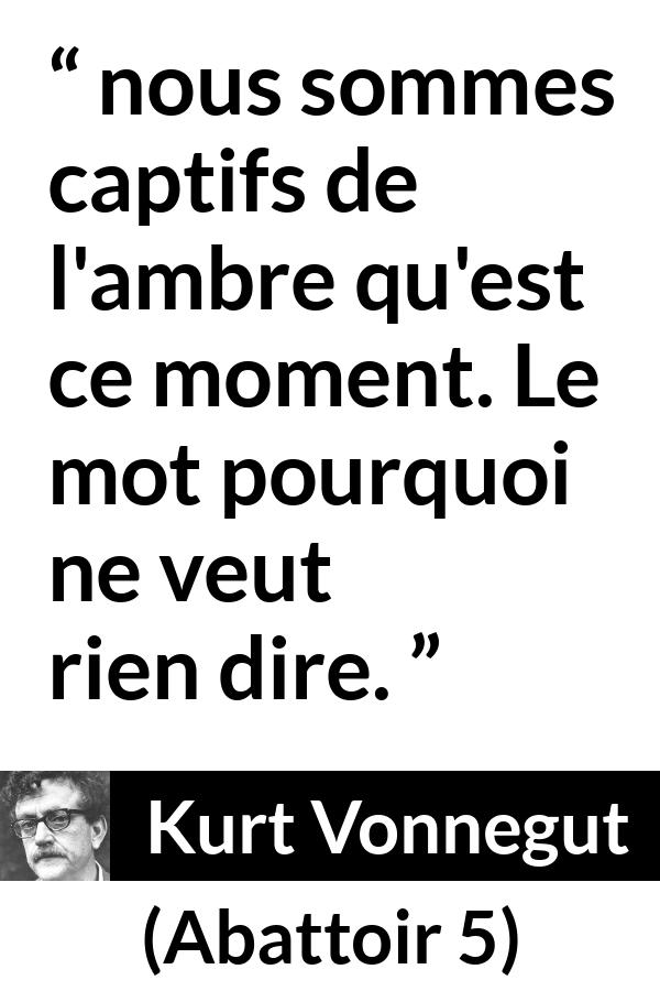 Citation de Kurt Vonnegut sur la compréhension tirée d'Abattoir 5 - nous sommes captifs de l'ambre qu'est ce moment. Le mot pourquoi ne veut rien dire.