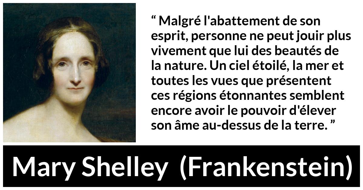 Citation de Mary Shelley sur la nature tirée de Frankenstein - Malgré l'abattement de son esprit, personne ne peut jouir plus vivement que lui des beautés de la nature. Un ciel étoilé, la mer et toutes les vues que présentent ces régions étonnantes semblent encore avoir le pouvoir d'élever son âme au-dessus de la terre.