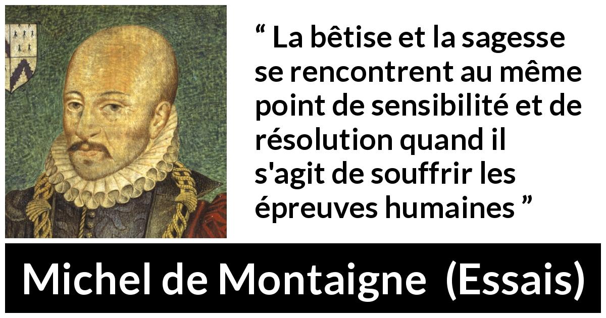 Citation de Michel de Montaigne sur la sagesse tirée d'Essais - La bêtise et la sagesse se rencontrent au même point de sensibilité et de résolution quand il s'agit de souffrir les épreuves humaines