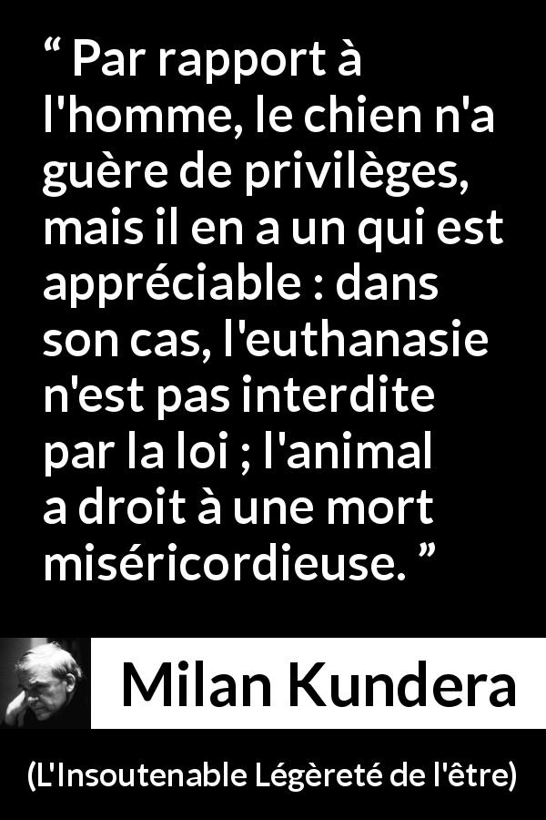 Citation de Milan Kundera sur la miséricorde tirée de L'Insoutenable Légèreté de l'être - Par rapport à l'homme, le chien n'a guère de privilèges, mais il en a un qui est appréciable : dans son cas, l'euthanasie n'est pas interdite par la loi ; l'animal a droit à une mort miséricordieuse.
