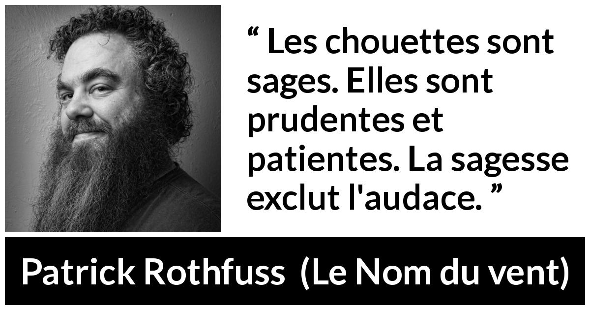 Citation de Patrick Rothfuss sur la sagesse tirée du Nom du vent - Les chouettes sont sages. Elles sont prudentes et patientes. La sagesse exclut l'audace.