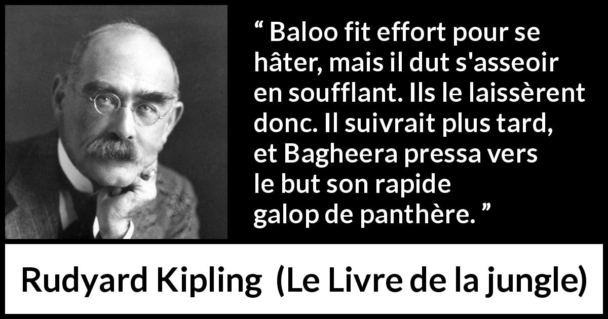 Citation de Rudyard Kipling sur la vitesse tirée du Livre de la jungle - Baloo fit effort pour se hâter, mais il dut s'asseoir en soufflant. Ils le laissèrent donc. Il suivrait plus tard, et Bagheera pressa vers le but son rapide galop de panthère.
