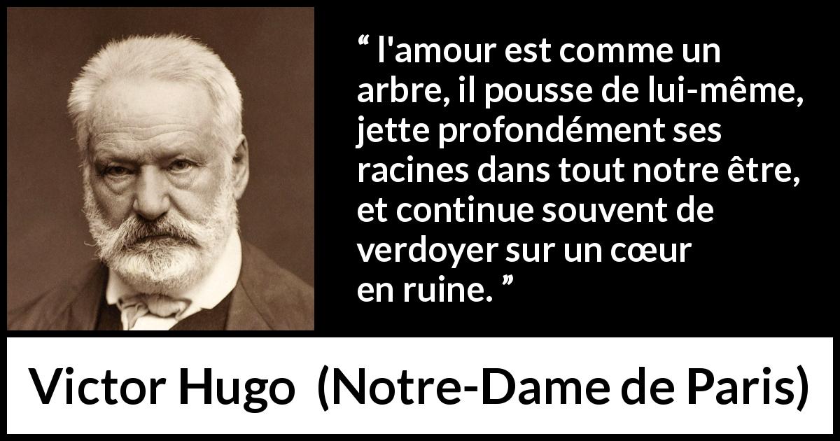 Citation de Victor Hugo sur l'amour tirée de Notre-Dame de Paris - l'amour est comme un arbre, il pousse de lui-même, jette profondément ses racines dans tout notre être, et continue souvent de verdoyer sur un cœur en ruine.