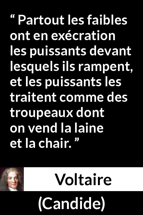 Citation de Voltaire sur l'exploitation tirée de Candide - Partout les faibles ont en exécration les puissants devant lesquels ils rampent, et les puissants les traitent comme des troupeaux dont on vend la laine et la chair.