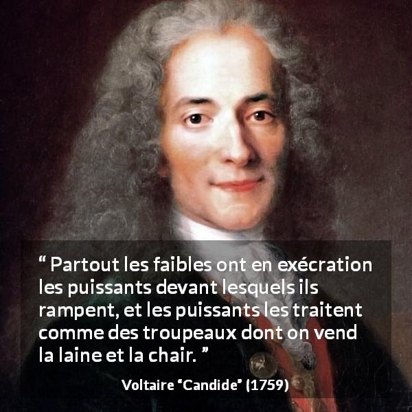 Citation de Voltaire sur l'exploitation tirée de Candide - Partout les faibles ont en exécration les puissants devant lesquels ils rampent, et les puissants les traitent comme des troupeaux dont on vend la laine et la chair.