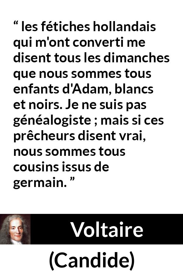 Citation de Voltaire sur la fraternité tirée de Candide - les fétiches hollandais qui m'ont converti me disent tous les dimanches que nous sommes tous enfants d'Adam, blancs et noirs. Je ne suis pas généalogiste ; mais si ces prêcheurs disent vrai, nous sommes tous cousins issus de germain.