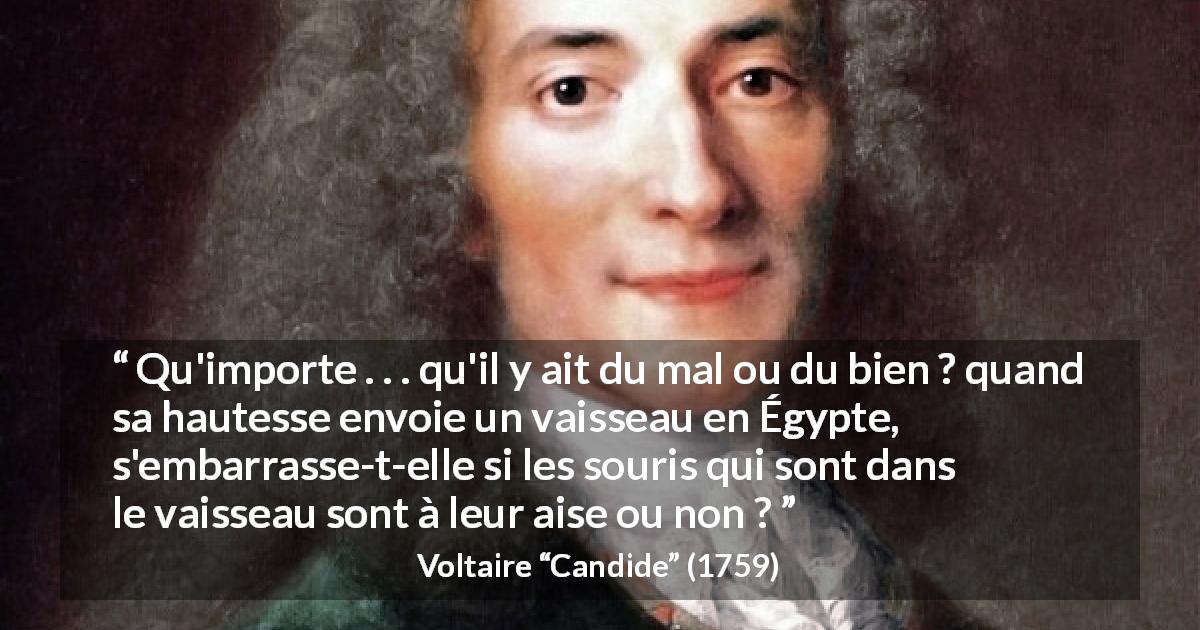 Citation de Voltaire sur la tyrannie tirée de Candide - Qu'importe . . . qu'il y ait du mal ou du bien ? quand sa hautesse envoie un vaisseau en Égypte, s'embarrasse-t-elle si les souris qui sont dans le vaisseau sont à leur aise ou non ?