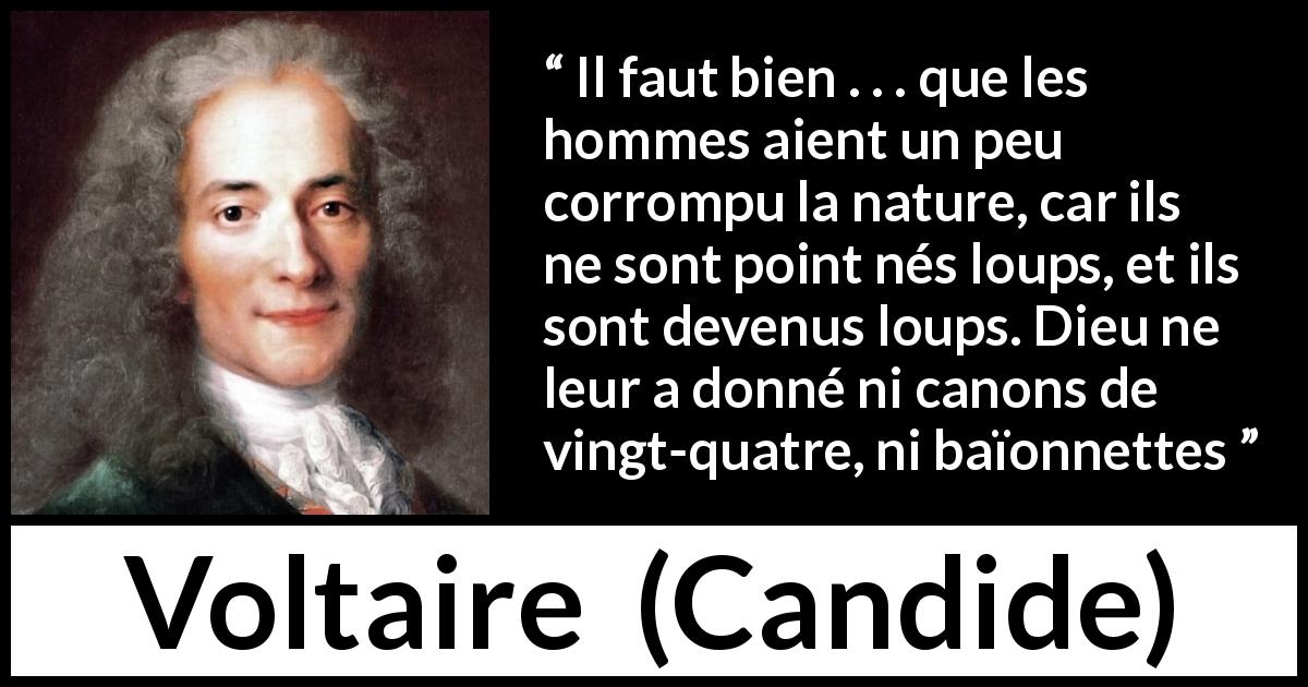 Citation de Voltaire sur la violence tirée de Candide - Il faut bien . . . que les hommes aient un peu corrompu la nature, car ils ne sont point nés loups, et ils sont devenus loups. Dieu ne leur a donné ni canons de vingt-quatre, ni baïonnettes