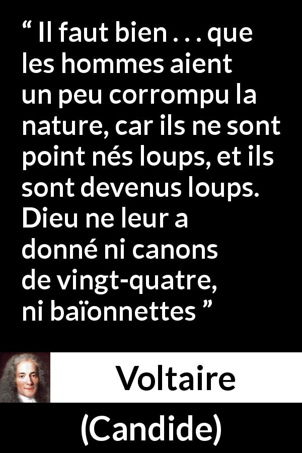 Citation de Voltaire sur la violence tirée de Candide - Il faut bien . . . que les hommes aient un peu corrompu la nature, car ils ne sont point nés loups, et ils sont devenus loups. Dieu ne leur a donné ni canons de vingt-quatre, ni baïonnettes