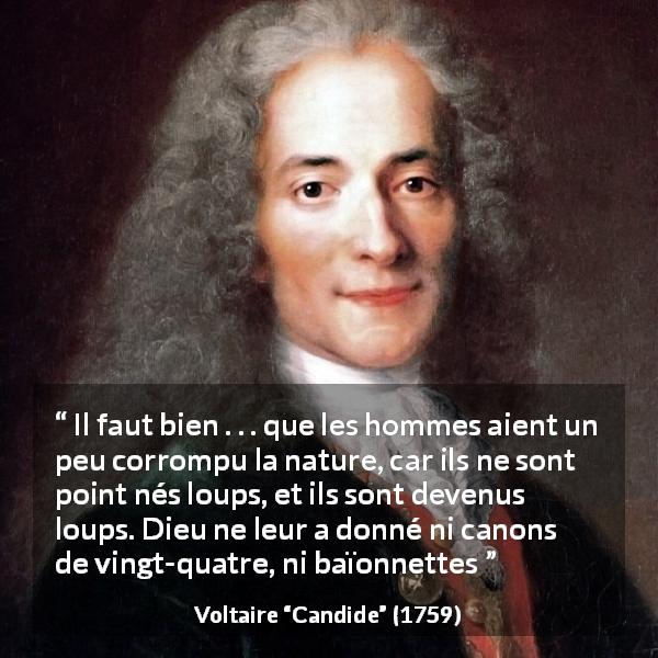 Citation de Voltaire sur la violence tirée de Candide - Il faut bien . . . que les hommes aient un peu corrompu la nature, car ils ne sont point nés loups, et ils sont devenus loups. Dieu ne leur a donné ni canons de vingt-quatre, ni baïonnettes