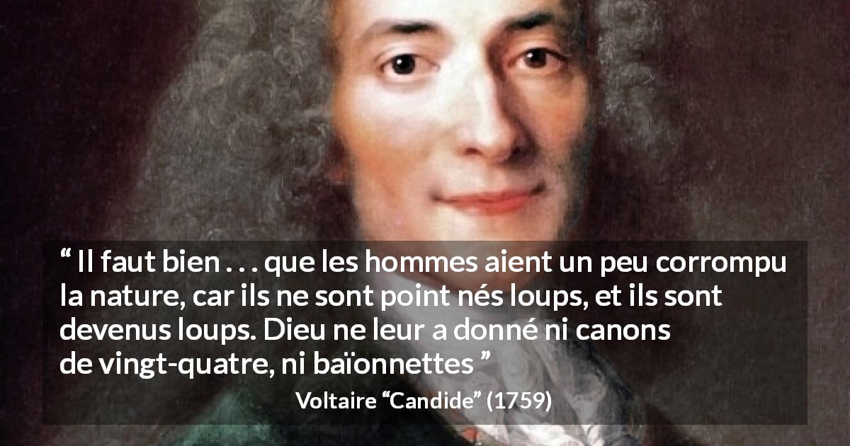 Citation de Voltaire sur la violence tirée de Candide - Il faut bien . . . que les hommes aient un peu corrompu la nature, car ils ne sont point nés loups, et ils sont devenus loups. Dieu ne leur a donné ni canons de vingt-quatre, ni baïonnettes