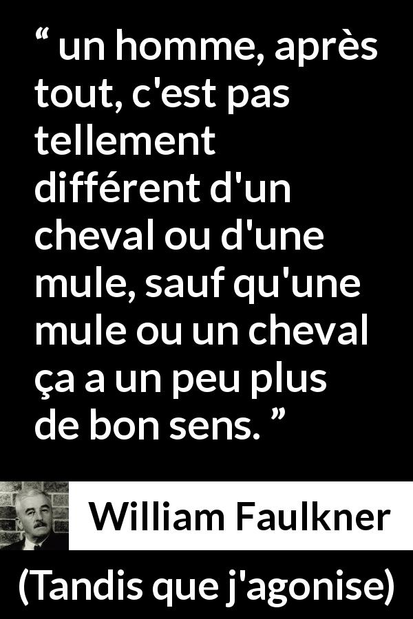 Citation de William Faulkner sur le bon sens tirée de Tandis que j'agonise - un homme, après tout, c'est pas tellement différent d'un cheval ou d'une mule, sauf qu'une mule ou un cheval ça a un peu plus de bon sens.