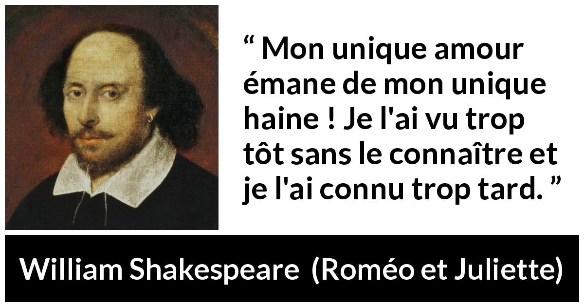 Citation de William Shakespeare sur l'amour tirée de Roméo et Juliette - Mon unique amour émane de mon unique haine ! Je l'ai vu trop tôt sans le connaître et je l'ai connu trop tard.