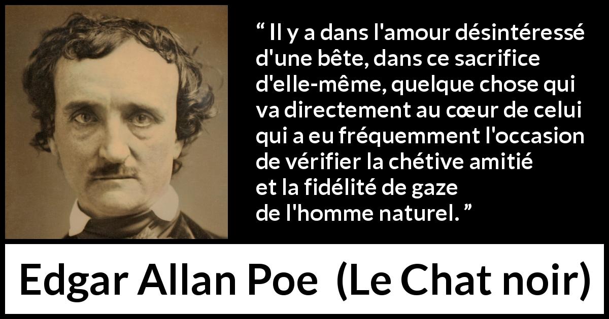 Citation d'Edgar Allan Poe sur le sacrifice tirée du Chat noir - Il y a dans l'amour désintéressé d'une bête, dans ce sacrifice d'elle-même, quelque chose qui va directement au cœur de celui qui a eu fréquemment l'occasion de vérifier la chétive amitié et la fidélité de gaze de l'homme naturel.