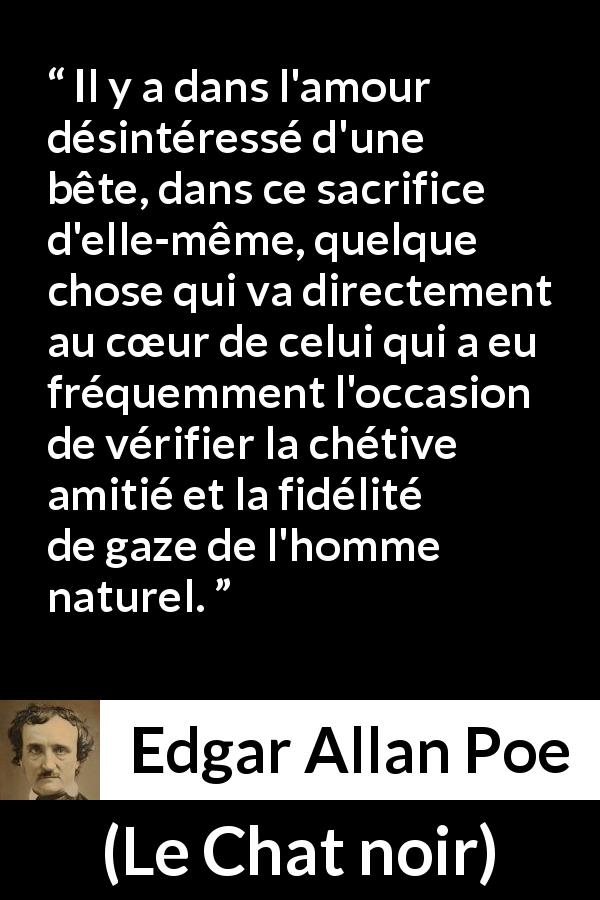 Citation d'Edgar Allan Poe sur le sacrifice tirée du Chat noir - Il y a dans l'amour désintéressé d'une bête, dans ce sacrifice d'elle-même, quelque chose qui va directement au cœur de celui qui a eu fréquemment l'occasion de vérifier la chétive amitié et la fidélité de gaze de l'homme naturel.