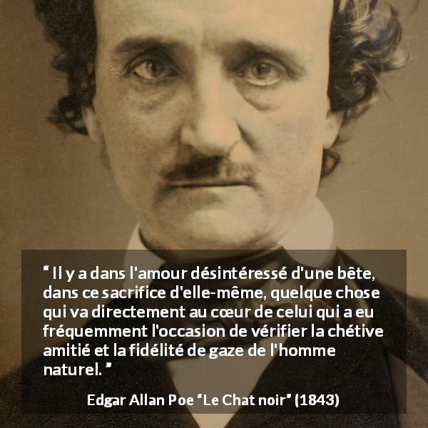 Citation d'Edgar Allan Poe sur le sacrifice tirée du Chat noir - Il y a dans l'amour désintéressé d'une bête, dans ce sacrifice d'elle-même, quelque chose qui va directement au cœur de celui qui a eu fréquemment l'occasion de vérifier la chétive amitié et la fidélité de gaze de l'homme naturel.