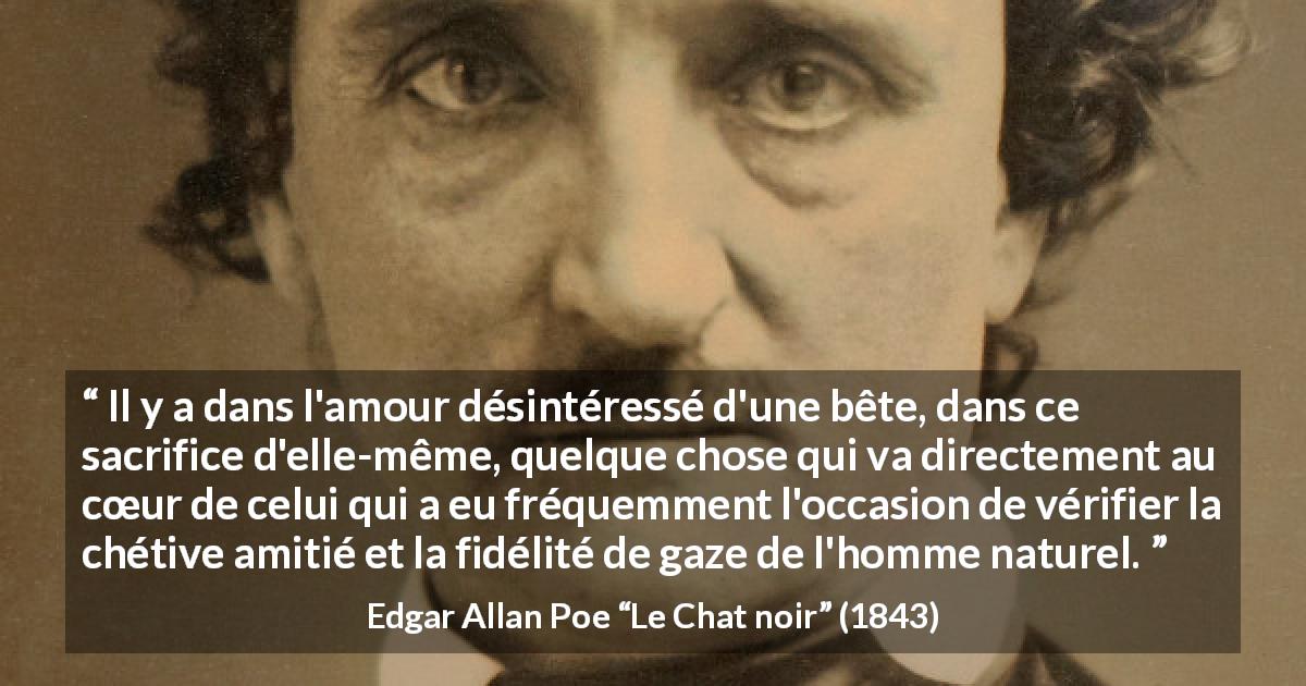 Citation d'Edgar Allan Poe sur le sacrifice tirée du Chat noir - Il y a dans l'amour désintéressé d'une bête, dans ce sacrifice d'elle-même, quelque chose qui va directement au cœur de celui qui a eu fréquemment l'occasion de vérifier la chétive amitié et la fidélité de gaze de l'homme naturel.