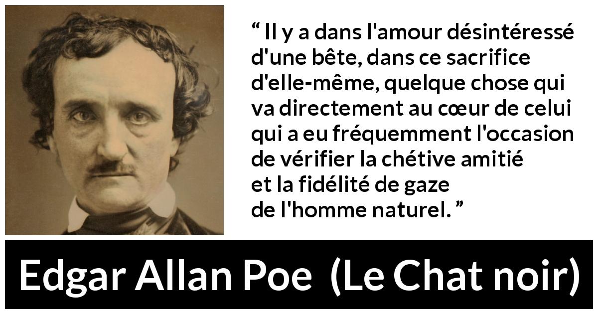 Citation d'Edgar Allan Poe sur le sacrifice tirée du Chat noir - Il y a dans l'amour désintéressé d'une bête, dans ce sacrifice d'elle-même, quelque chose qui va directement au cœur de celui qui a eu fréquemment l'occasion de vérifier la chétive amitié et la fidélité de gaze de l'homme naturel.