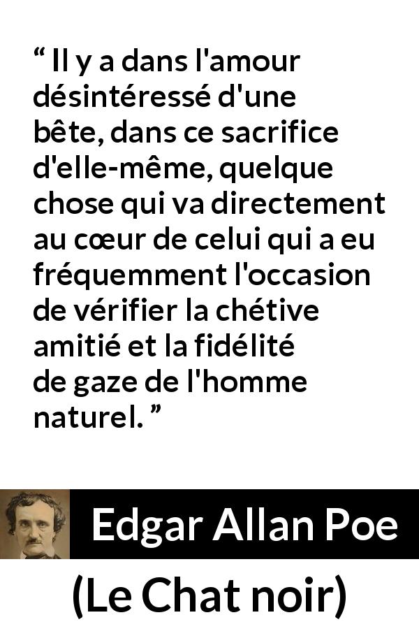 Citation d'Edgar Allan Poe sur le sacrifice tirée du Chat noir - Il y a dans l'amour désintéressé d'une bête, dans ce sacrifice d'elle-même, quelque chose qui va directement au cœur de celui qui a eu fréquemment l'occasion de vérifier la chétive amitié et la fidélité de gaze de l'homme naturel.