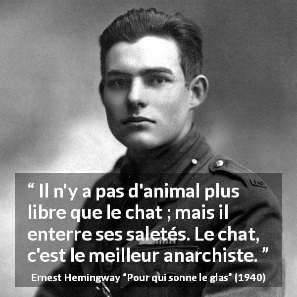 Citation d'Ernest Hemingway sur la responsabilité tirée de Pour qui sonne le glas - Il n'y a pas d'animal plus libre que le chat ; mais il enterre ses saletés. Le chat, c'est le meilleur anarchiste.